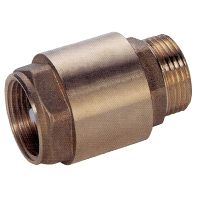 6 Check Valve