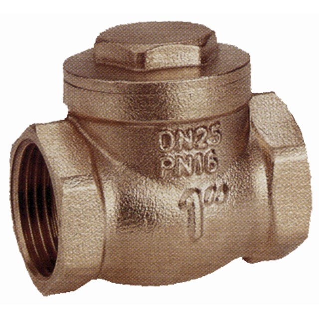 60 Swing Check Valve